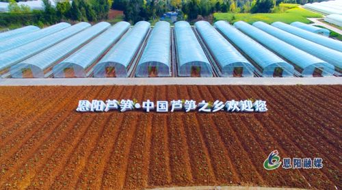 夯實(shí)發(fā)展根基 繪就城鄉(xiāng)融合新畫卷——全市“三區(qū)同建”暨一季度重點(diǎn)項(xiàng)目建設(shè)現(xiàn)場(chǎng)推進(jìn)會(huì)走進(jìn)恩陽區(qū)側(cè)記